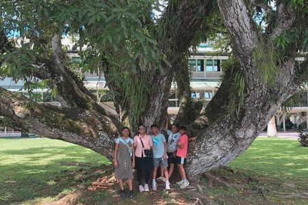 Full Day Tour in Linden Town with Lunch 