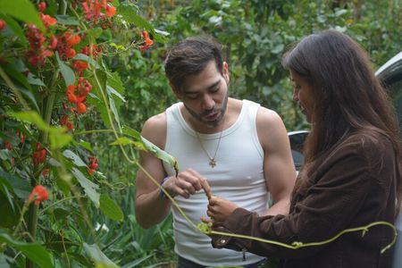 Urban Orchard in Desierto de los Leones in Mexico City