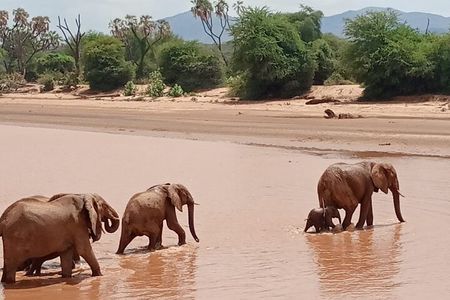 Samburu Sopa Lodge Private Tour