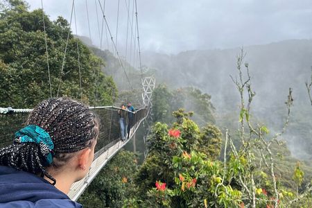 1 Day Nyungwe Canopy Walk & Waterfall Adventure