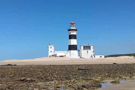Guided Port Elizabeth Coastal Tour 