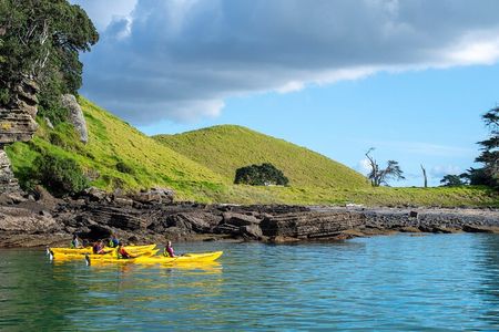 Auckland Volcano - Motukorea / Browns Island Sea Kayak Tour