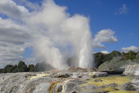 Small Group Waitomo and Rotorua including Te Puia Tour