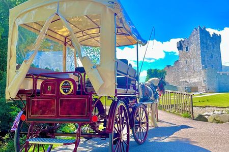 Killarney Jaunting Car Tour