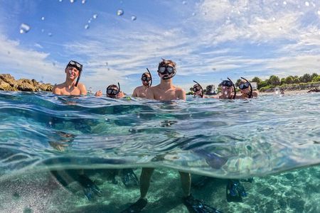 Blue Heron Bridge Guided Snorkel Tour 