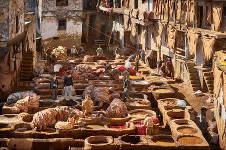 Fez Guided Tour with lunch from Casablanca