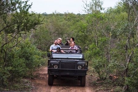 Private Full Day Guided Mkhaya Game Tour 