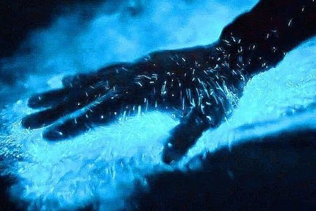Bioluminescence & sunset boat tour to Los Arcos Sanctuary