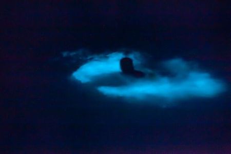 Bioluminescence & sunset local boat tour to Los Arcos Sanctuary