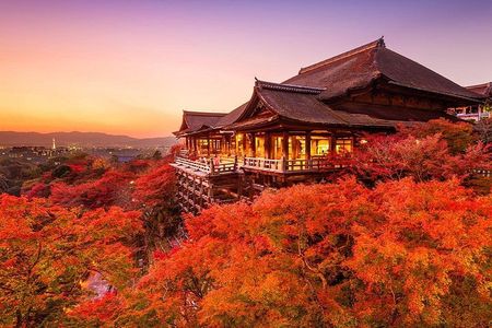 Kyoto Full day Tour Kinkakuji, Kiyomizu-dera and Fushimi Inari