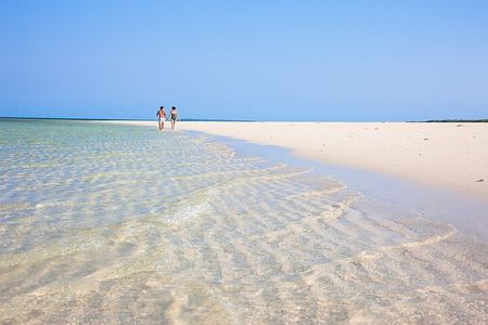 Explore Full day Private tour Beach to Beach in Zanzibar