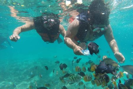 Bali: Fishing trip & Blue Lagoon Snorkeling with Lunch 