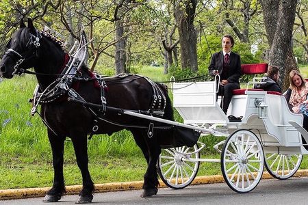 Central Park and NYC Horse Carriage Ride 