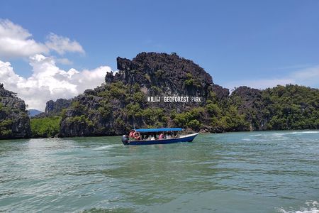 Langkawi Mangrove Boat Tour at Kilim Geoforest Park