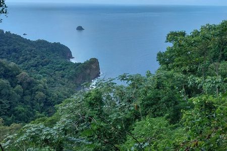 Wild Immersion: Hiking in the Heart of the Rainforest