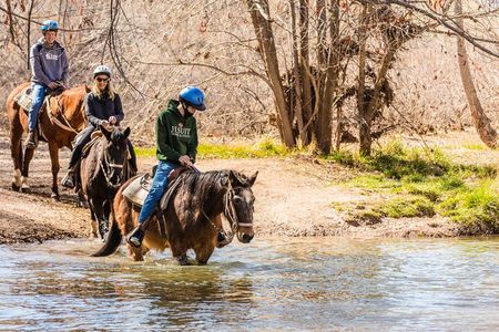 Sedona Horseback Rides At Dead Horse Ranch with River Crossing