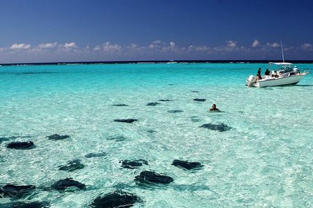 Grand Cayman Stingray City and Reef Snorkeling Combo Tour 