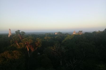 Tikal Day Tour with Pick-up from Flores