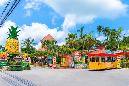 Okinawa HIP-HOP BUS A Course Tour | Churaumi Aqualium,Kori Island