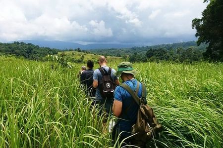 Bangkok: Khao Yai Nature Trails & Heaw Suwat Waterfall