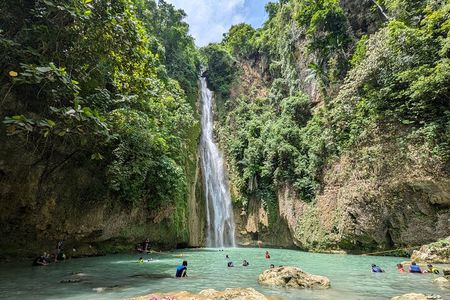 Moalboal Sardine Run, Sea Turtle and Mantayupan Falls