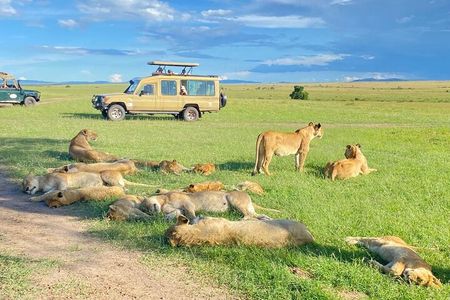 3 Days Group Joining Safari to Maasai Mara in a 4WD JEEP