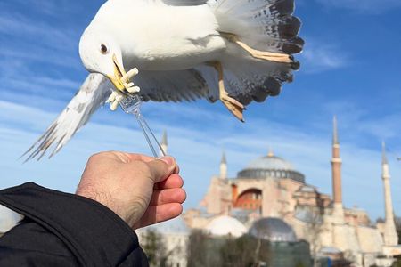 Voyager of Istanbul Top Landmark Tour