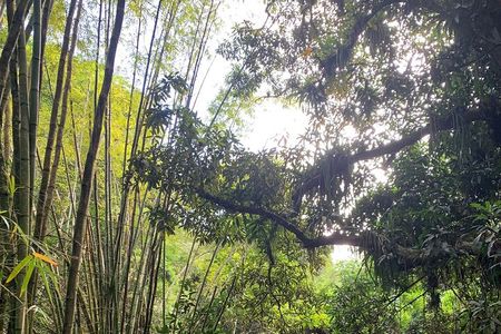 Glide into adventure: Hiking and natural slides
