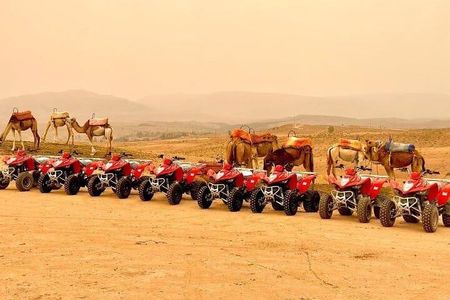 Quad Biking Half Day And Camel Ride In Sunset
