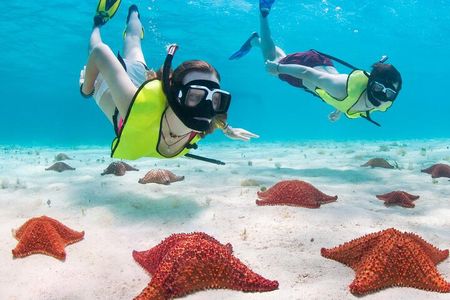 Cayman 3 in 1 Combo: Starfish Point, Stingrays and Reefs
