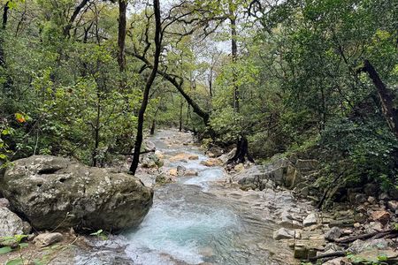 Discover Estanzuela Natural Park 