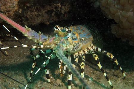 Madagascar Cultural and Natural Wonders Tour