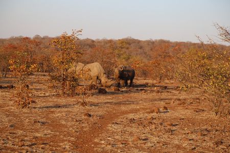 5-Day Visit Zimbabwe, Zambia, Botswana & Namibia Island