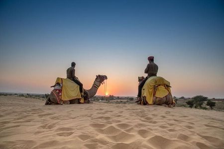 Authentic Camel Safari Experience With Us