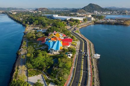 Miraflores canal Locks, Amador Causeway and Biomuseo private tour