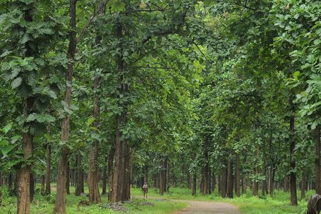 Kerala's Virgin, Prosperous Villages 1 Day Tour Free Pick up&Drop