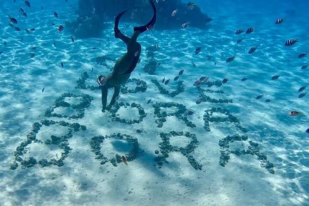 Bora Bora blue lagoon excursion, snorkeling, lunch in heaven