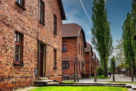 Krakow: Auschwitz-Birkenau Tour with Licensed Museum Expert