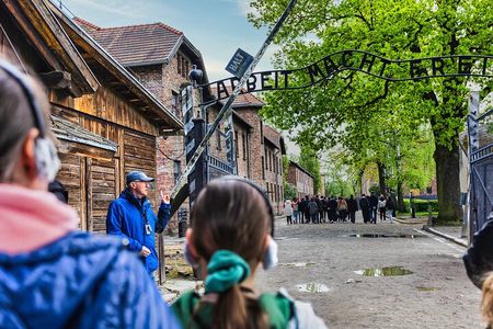 Auschwitz-Birkenau: Day Trip & Transfer from Kraków