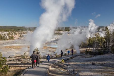 Yellowstone in a Day - Wildlife, Canyons, & Hot Springs