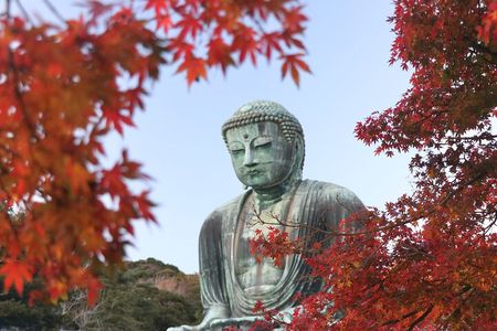 4-hour Private Tour of Kamakura with Government-Licensed Guide