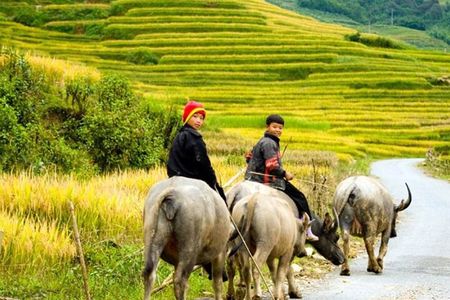 2 Day Sapa Trekking Tour