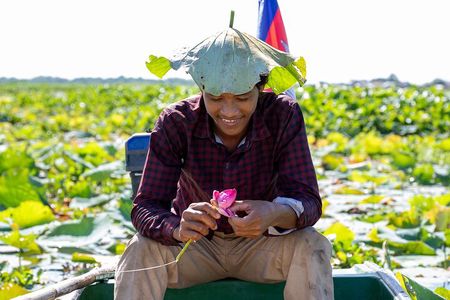 Siem Reap: Lotus Silk Farm - Tour, Lake & Artisan immersion
