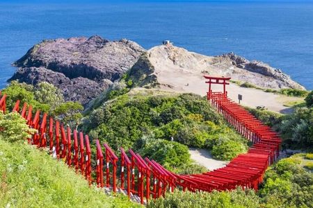 Fukuoka Akiyoshido Cave & Motonosumi Shrine Full-Day Tour