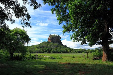 Day Trip to Sigiriya & Dambulla (All-Inclusive)