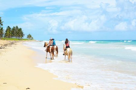Jungle and Beach Horse Ridding round trip transportatin.