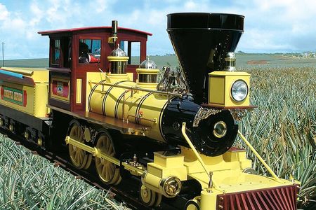 Haleiwa Express & Dole Plantation