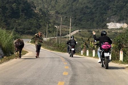 Ban Gioc Waterfall Full-Day With Local Guide
