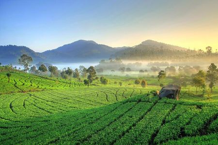 Jakarta Volcano White Crater and Natural Hot Spring in West Java
