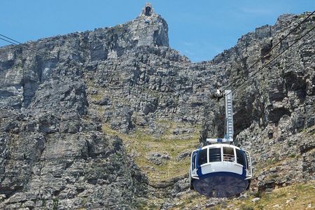 Table Mountain, Penguin,Cape Point Private Day Tour in Cape Town 